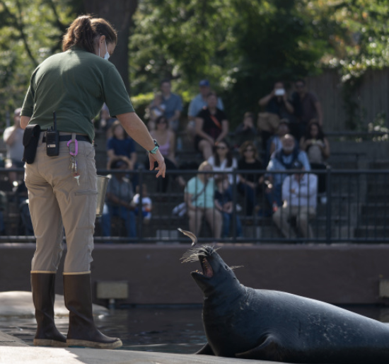 Screenshot 2025-09-12 105712