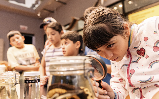 Screenshot 2025-09-12 105806