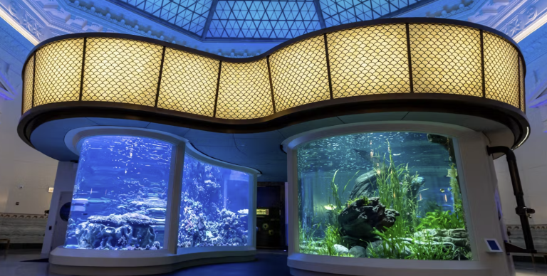 Screenshot 2025-09-12 105947